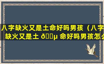 八字缺火又是土命好吗男孩（八字缺火又是土 🐵 命好吗男孩怎么办）